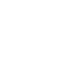 The American Academy of Pediatrics